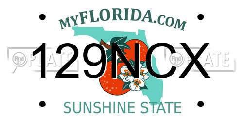 129NCX Florida License Plate