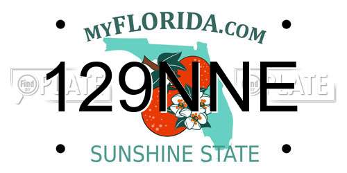 129NNE Florida License Plate