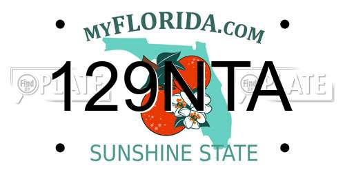 129NTA Florida License Plate