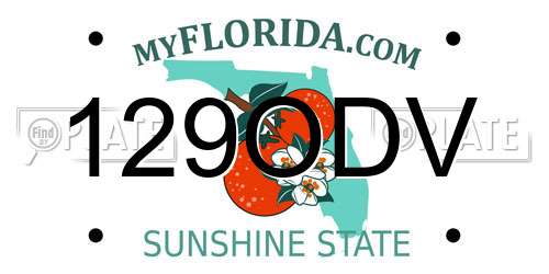 129ODV Florida License Plate