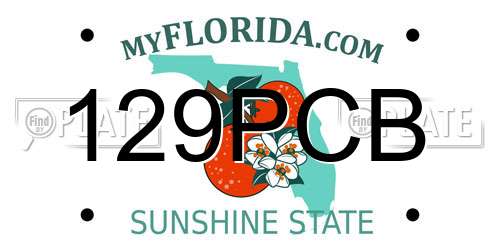 129PCB Florida License Plate