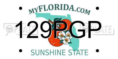 129PGP Florida License Plate