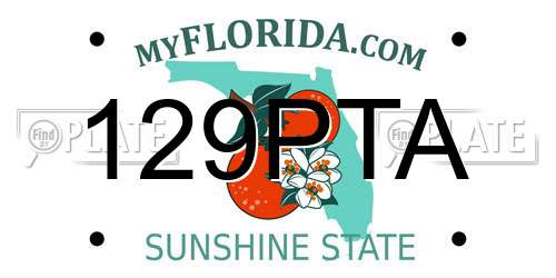 129PTA Florida License Plate