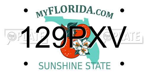 129PXV Florida License Plate