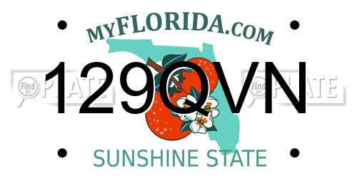 129QVN Florida License Plate