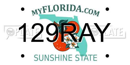 129RAY Florida License Plate