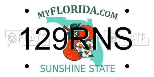 129RNS Florida License Plate