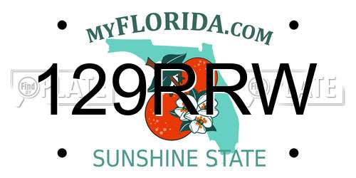 129RRW Florida License Plate