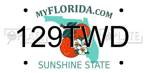 129TWD Florida License Plate