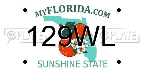 129WL Florida License Plate