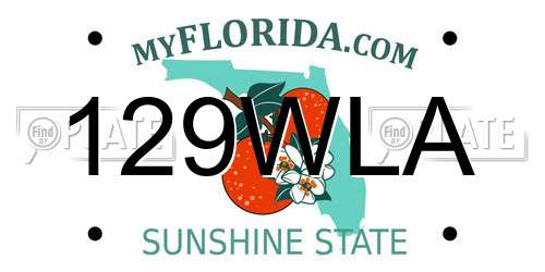 129WLA Florida License Plate
