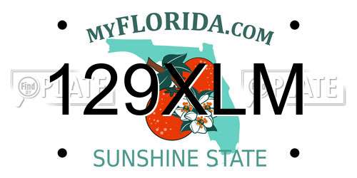 129XLM Florida License Plate