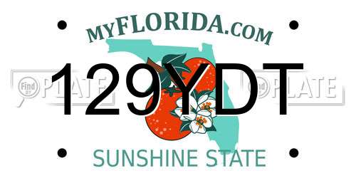 129YDT Florida License Plate