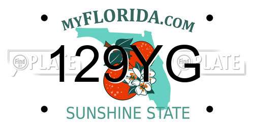129YG Florida License Plate
