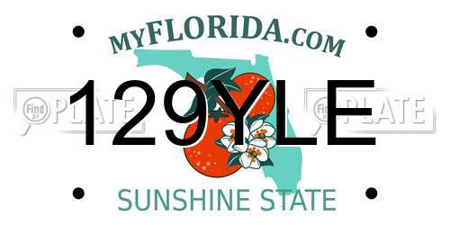129YLE Florida License Plate