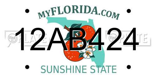 12AB424 Florida License Plate