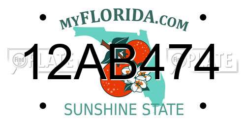 12AB474 Florida License Plate