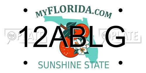 12ABLG Florida License Plate