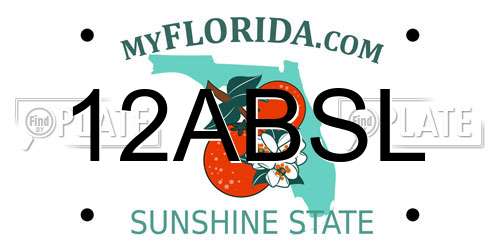 12ABSL Florida License Plate