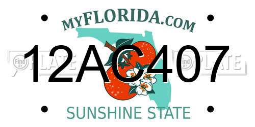 12AC407 Florida License Plate