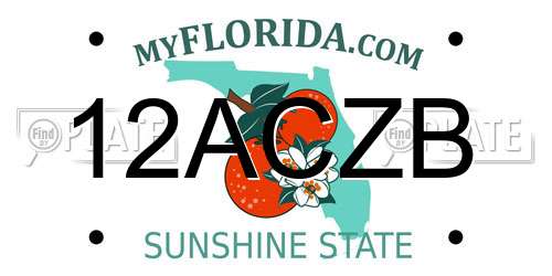 12ACZB Florida License Plate