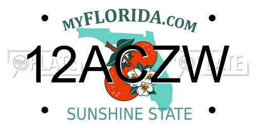 12ACZW Florida License Plate