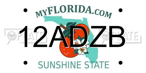 12ADZB Florida License Plate