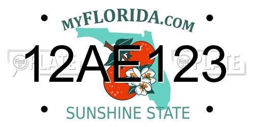 12AE123 Florida License Plate