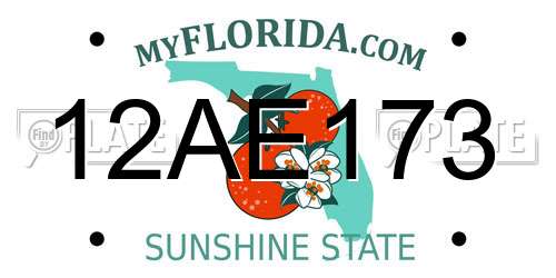 12AE173 Florida License Plate