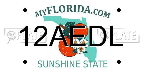 12AEDL Florida License Plate