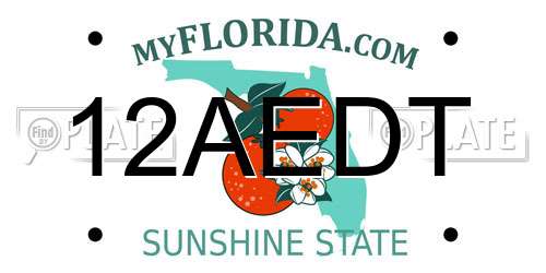 12AEDT Florida License Plate