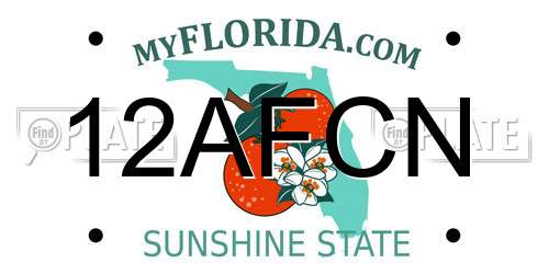 12AFCN Florida License Plate