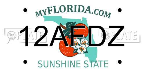 12AFDZ Florida License Plate