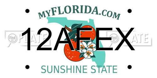 12AFEX Florida License Plate