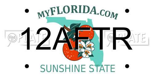 12AFTR Florida License Plate