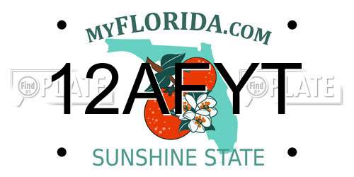 12AFYT Florida License Plate