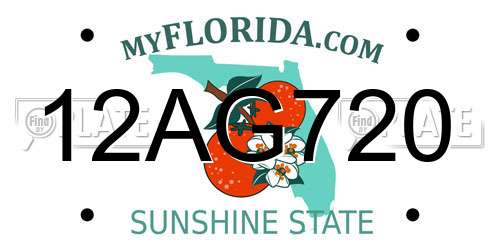 12AG720 Florida License Plate