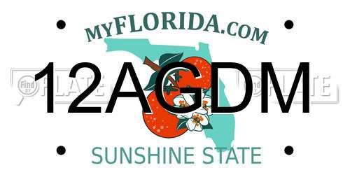 12AGDM Florida License Plate