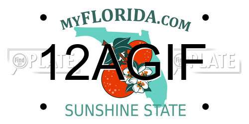 12AGIF Florida License Plate