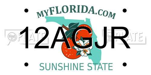12AGJR Florida License Plate