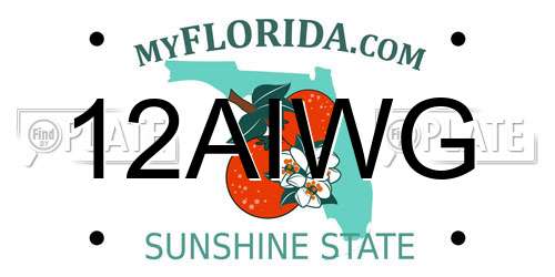 12AIWG Florida License Plate
