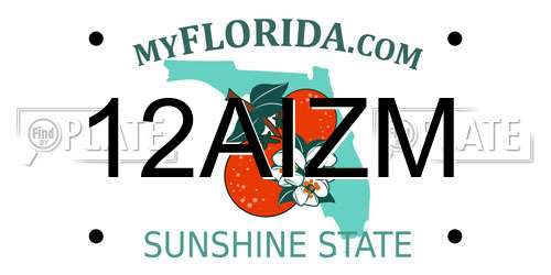 12AIZM Florida License Plate
