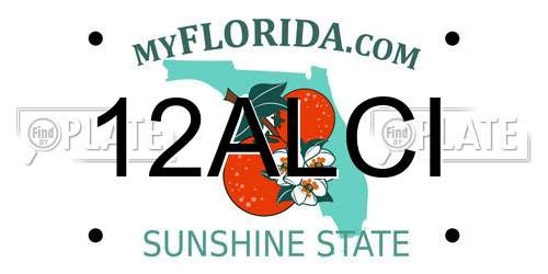 12ALCI Florida License Plate