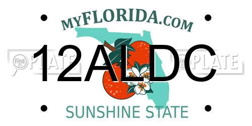 12ALDC Florida License Plate