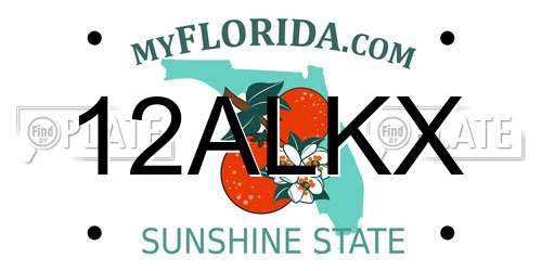 12ALKX Florida License Plate