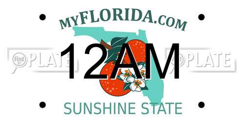 12AM Florida License Plate