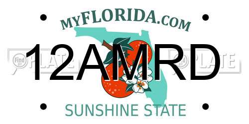 12AMRD Florida License Plate