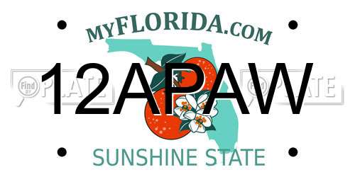 12APAW Florida License Plate