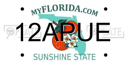 12APUE Florida License Plate