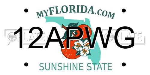 12APWG Florida License Plate